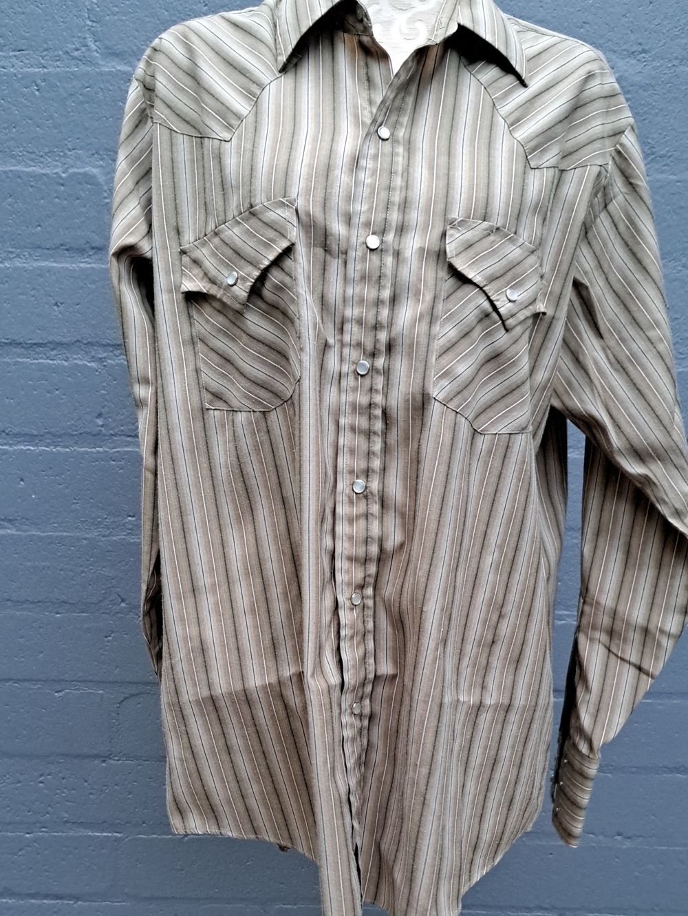 Striped Button-Down Western Shirt in Brown